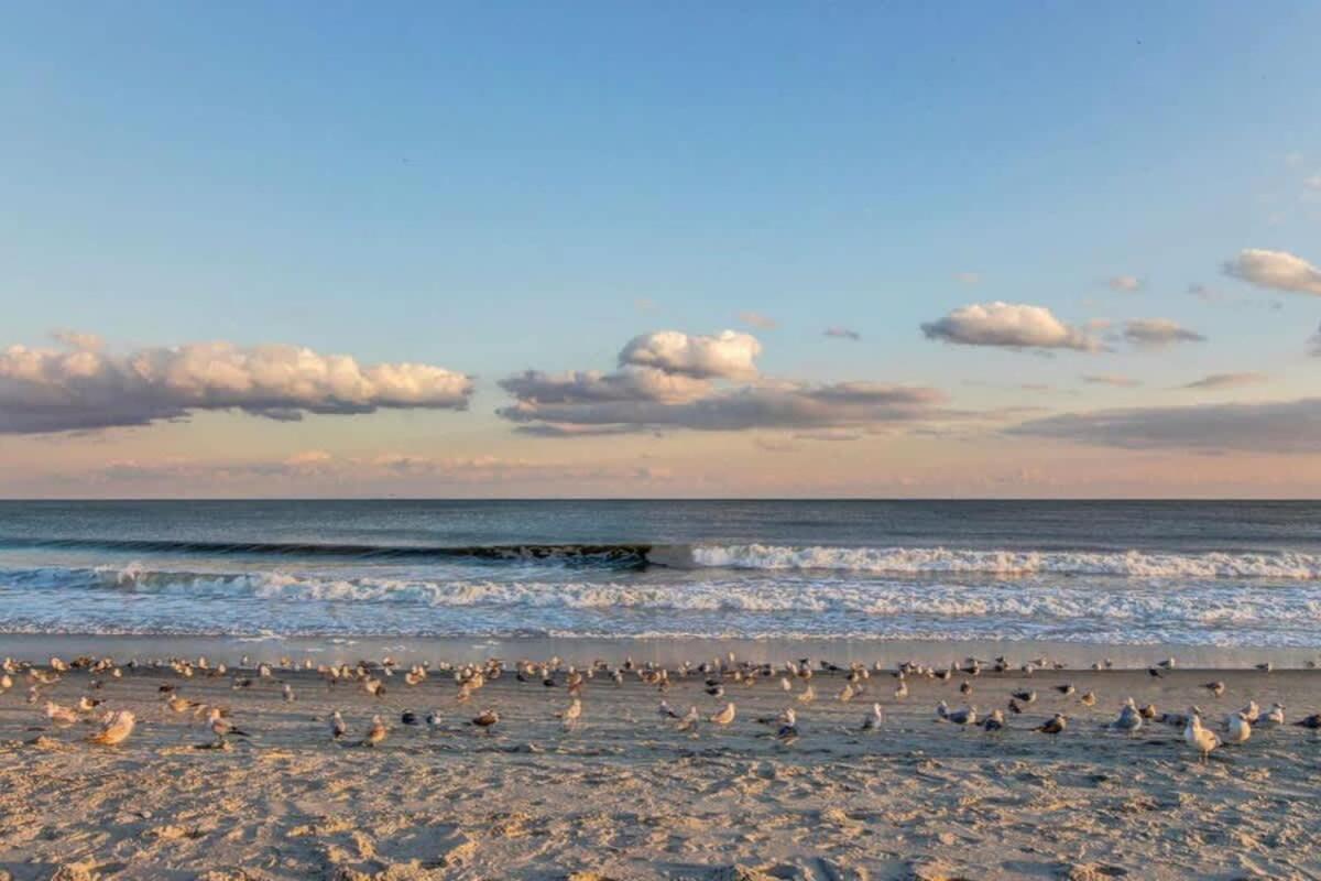 *Oceanfront Sun & Fun*Queen Beds*Pools*Hot Tubs*More*B118 Мертл-Біч Екстер'єр фото